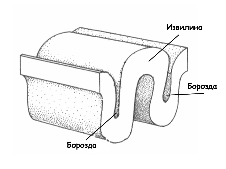 Фото: wikipedia