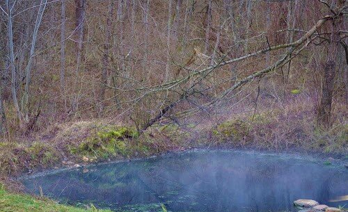 Дикий источник