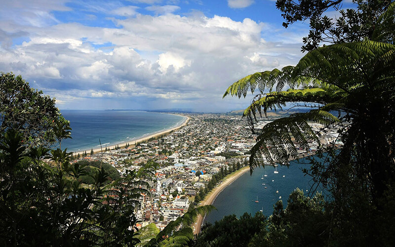 Пленти (англ. Bay of Plenty)