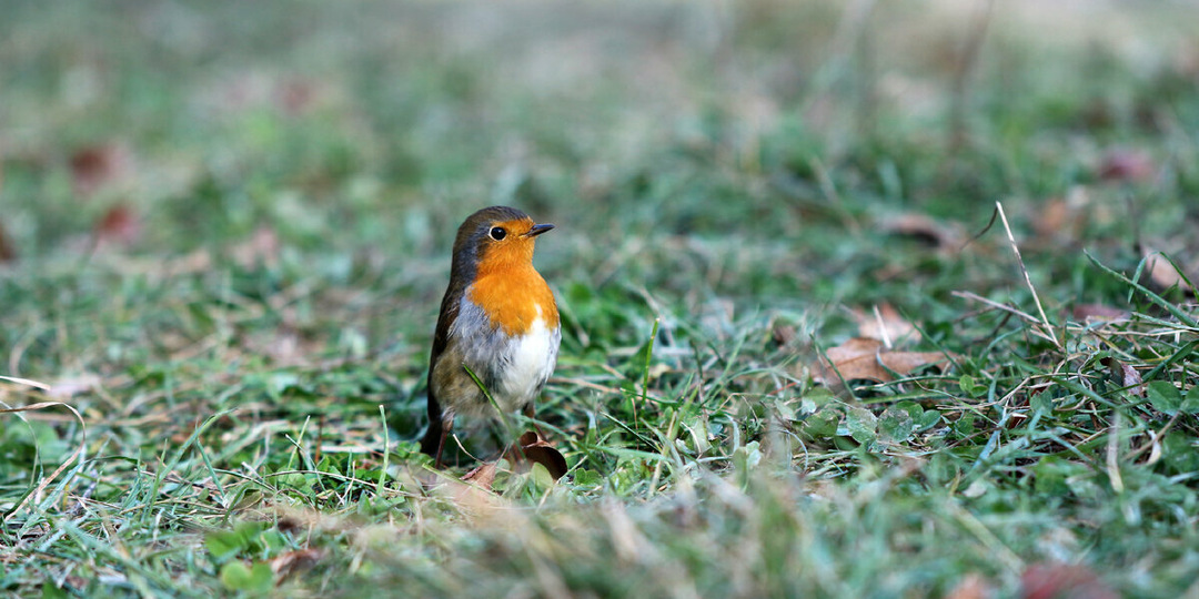 Горный Крым'19 | Часть 3