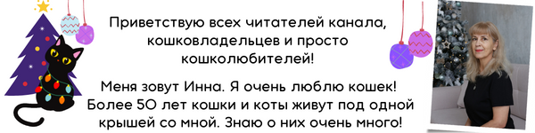 Кошки всегда заставляли человека задуматься: почему они ведут себя так, а не иначе.  Много вопросов вызывает особый массаж, который мурлыки делают своим хозяевам.