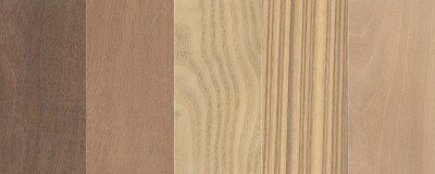 Сможете ли вы точно идентифицировать все пять этих образцов древесины?