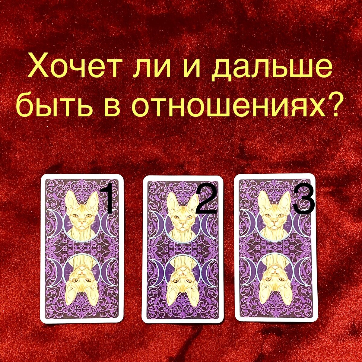 Выберите одну карту