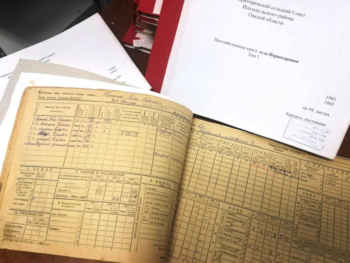 Похозяйственная книга - документ первичного административного учета сельского населения, а именно наличия у него земли, скота, жилых построек и другого имущества – своеобразный паспорт хозяйств населения. 