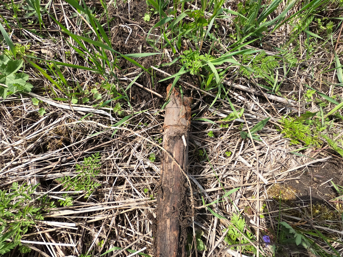 А вот чем он сигналил.