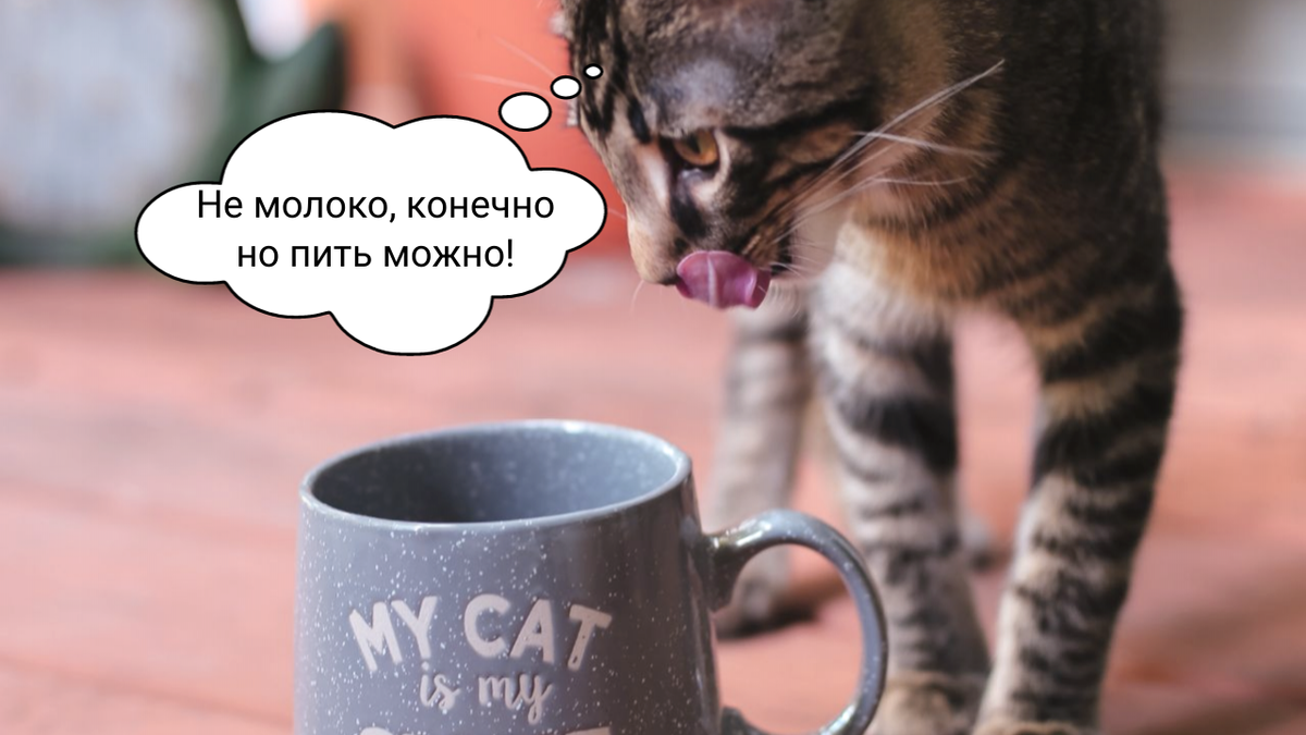 Чем заменить капсулы NEspresso