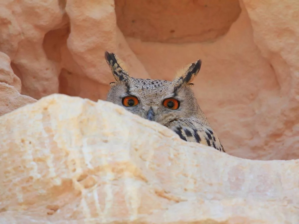 Скажите спасибо, что мы вас новые пирамиды в нашу честь не заставили строить!