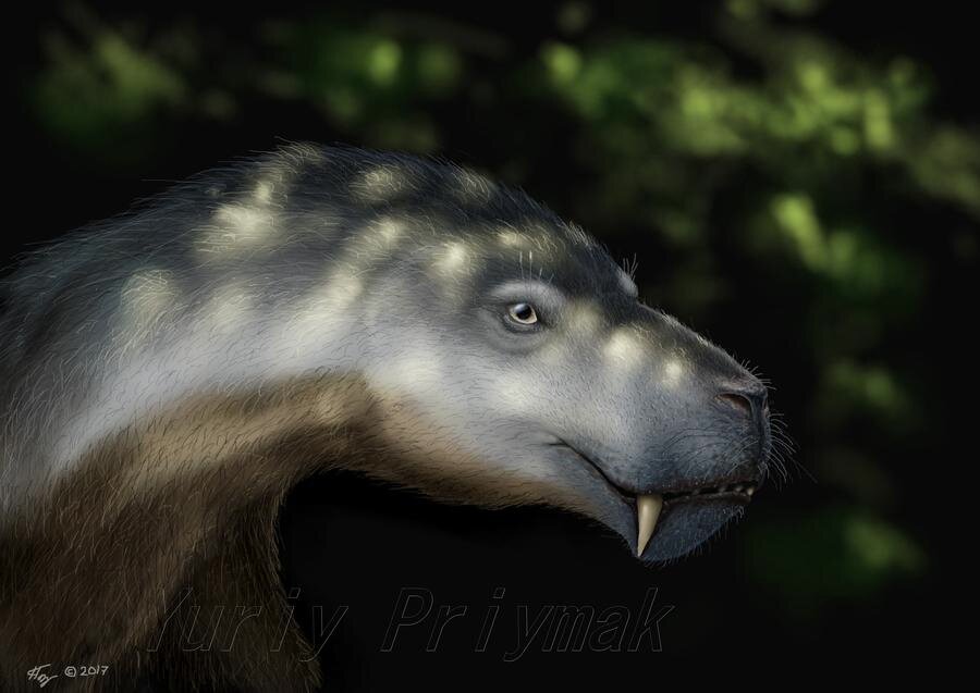 Горгонопс торвус (Gorgonops torvus)