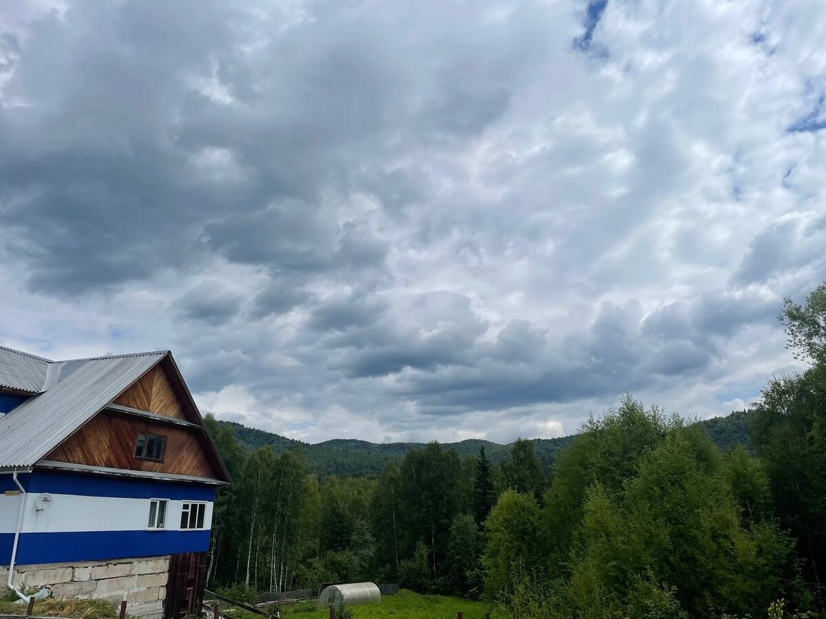Жилой дом у тайги 