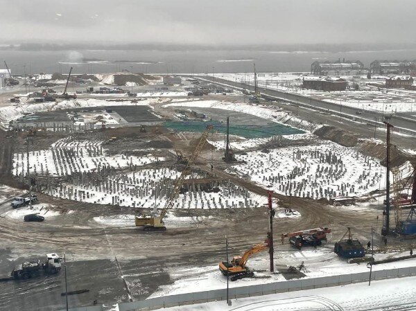    На территории забили около 5 тысяч свай Мария Материкова