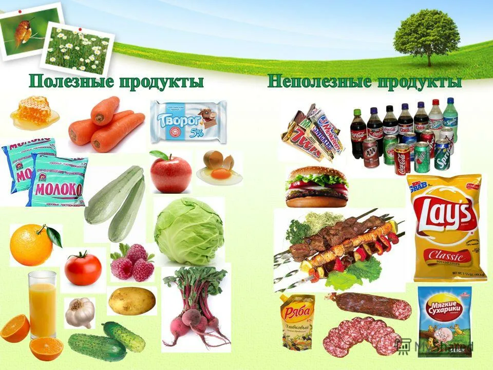 Польза и вред продуктов