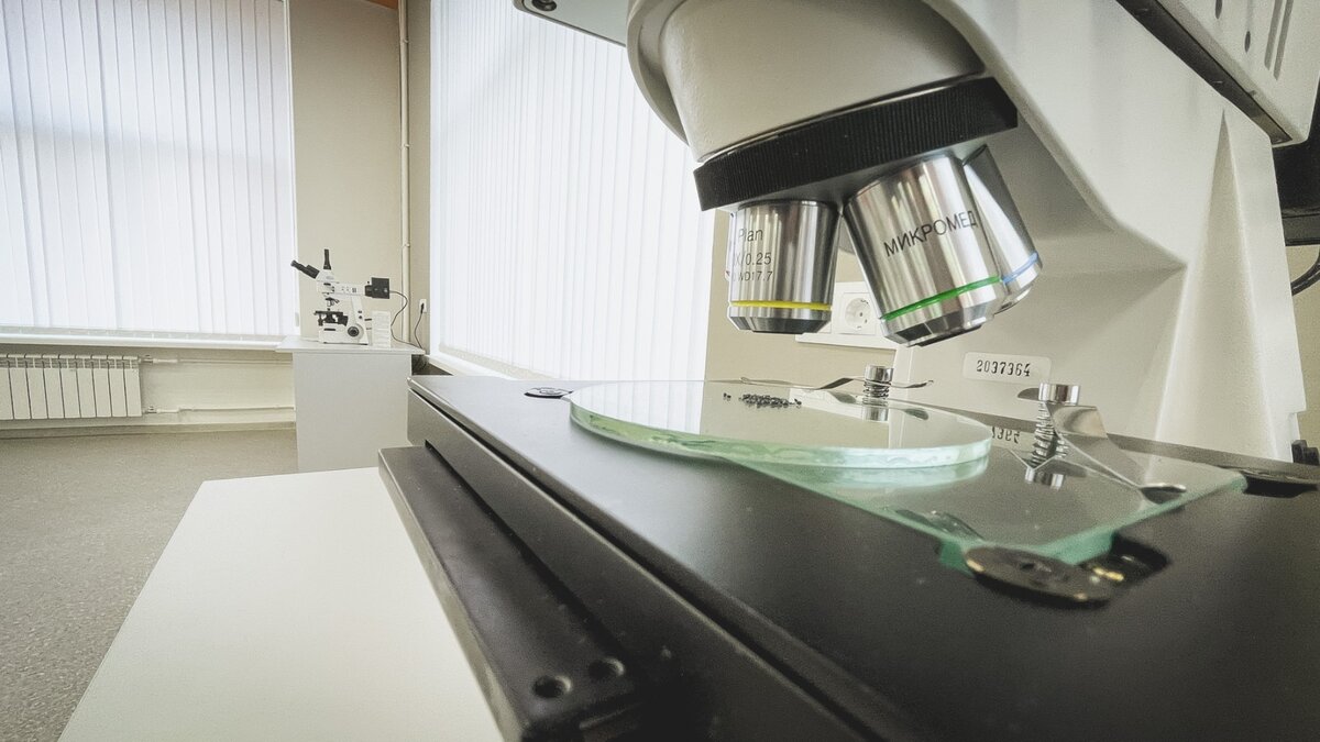     Положительное заключение экспертизы получено по проекту строительства комплекса научных лабораторий в Сарове. Информация об этом появилась в Едином государственном реестре заключений.