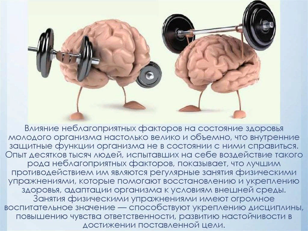 Не способно влиять на. Физическая нагрузка и мозг. Влияние физических упражнений на мозг. Умственная и физическая нагрузка. Физическая и умственная работоспособность человека.