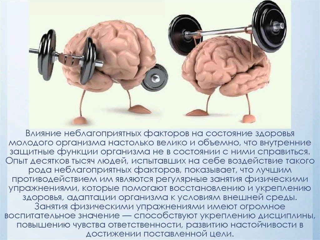 Что влияет на память. Физические нагрузки и мозг. Умственная и физическая нагрузка. Физическая и умственная работоспособность человека это.