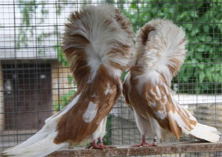 — Ты кто?! — Кто это сказал?! 