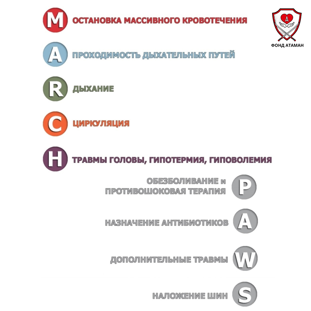 Протоколы MARCH-PAWS.