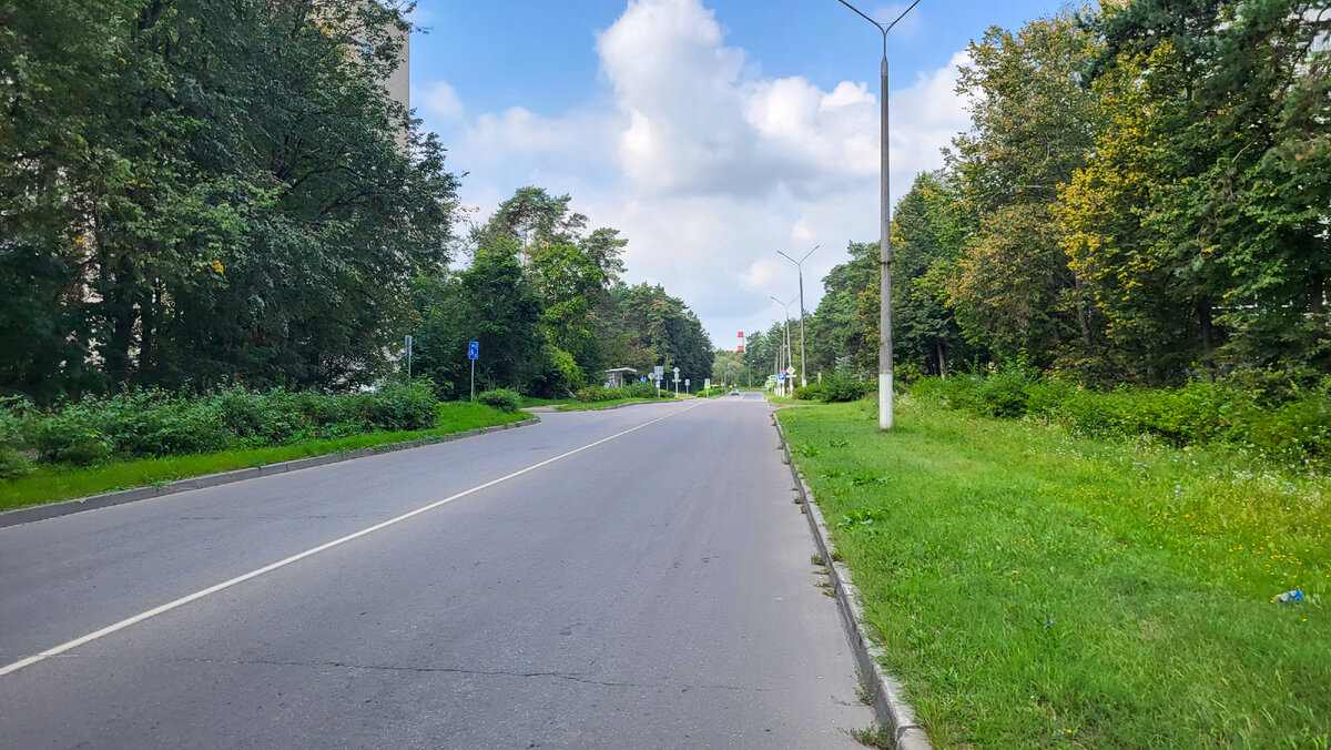 Зелёные насаждения Протвино