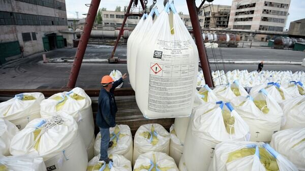    © Sputnik / Константин Чалабов