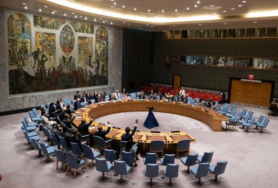    Совет Безопасности ООН