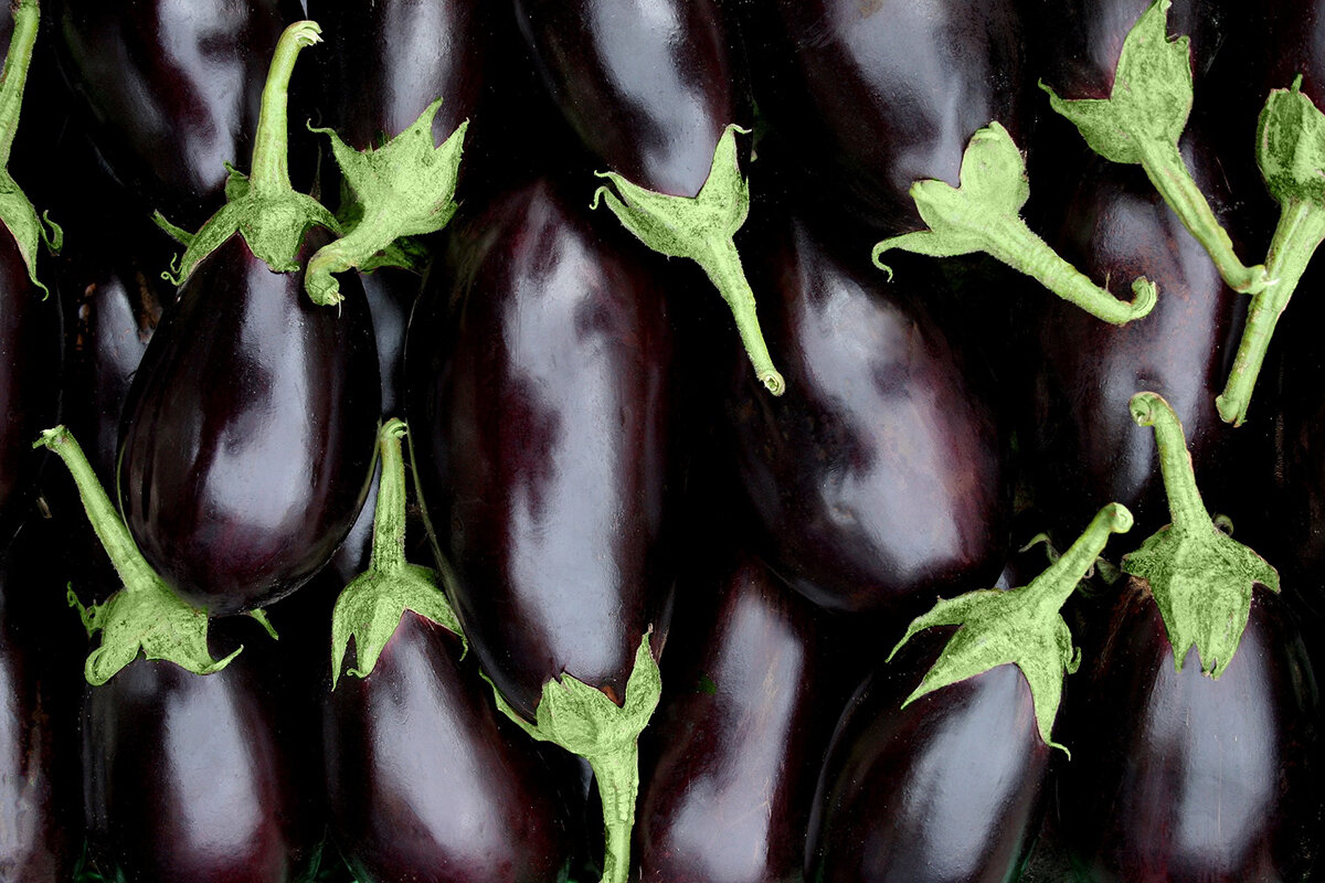    Фото: linolombardi / Pixabay.com