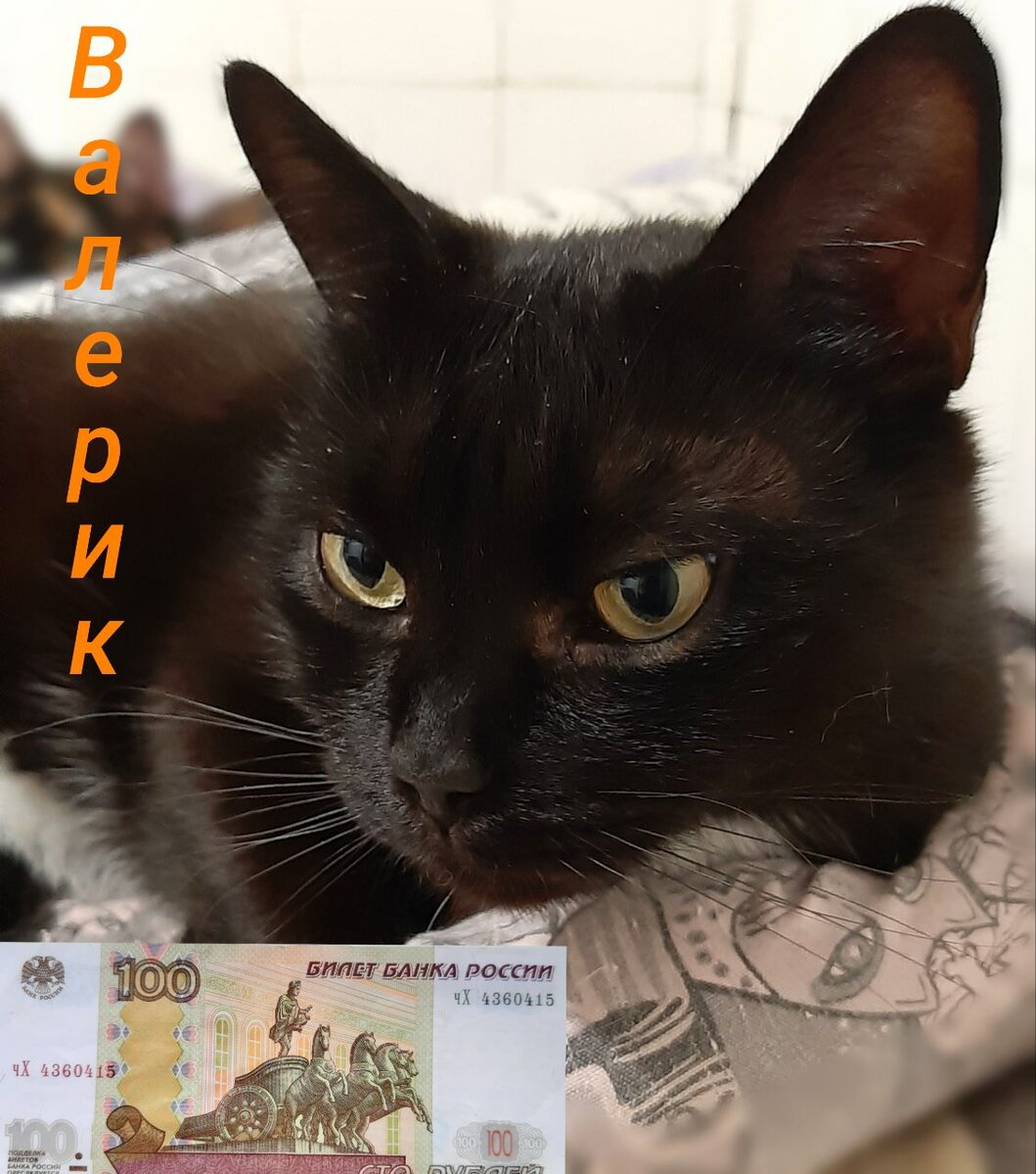 Можно хоть 10. Можно хоть 10. Можно хоть 10. Ты можешь иногда быть нормальной. Можно хоть 10.