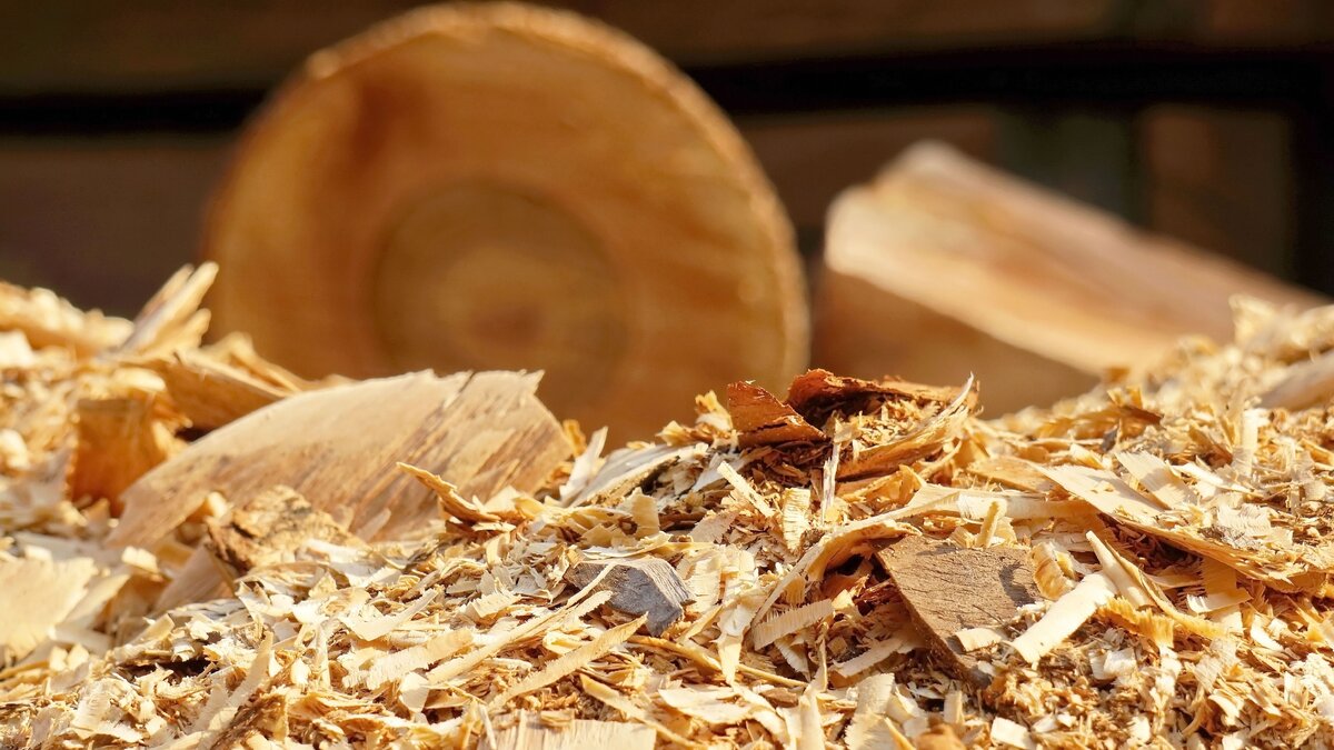    Семейному бизнесу из Кедрового помогла государственная поддержка