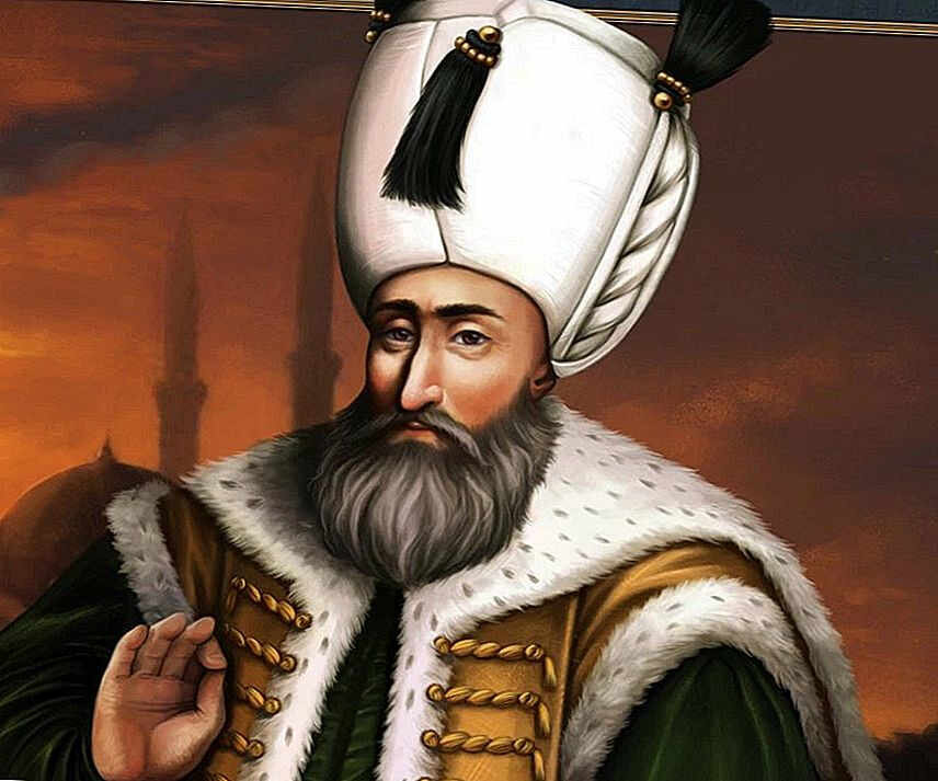 Султан Сулейман Великолепный. Изображение из открытого источника Яндекс