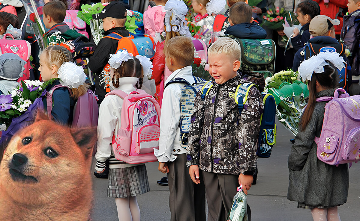 Фото с просторов интернета