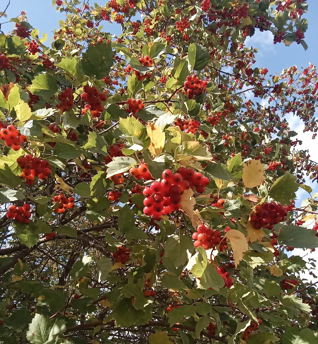 Не нашла подходящей картинки. Поставила эту. Очень уж она мне нравится. Фото автора канала.