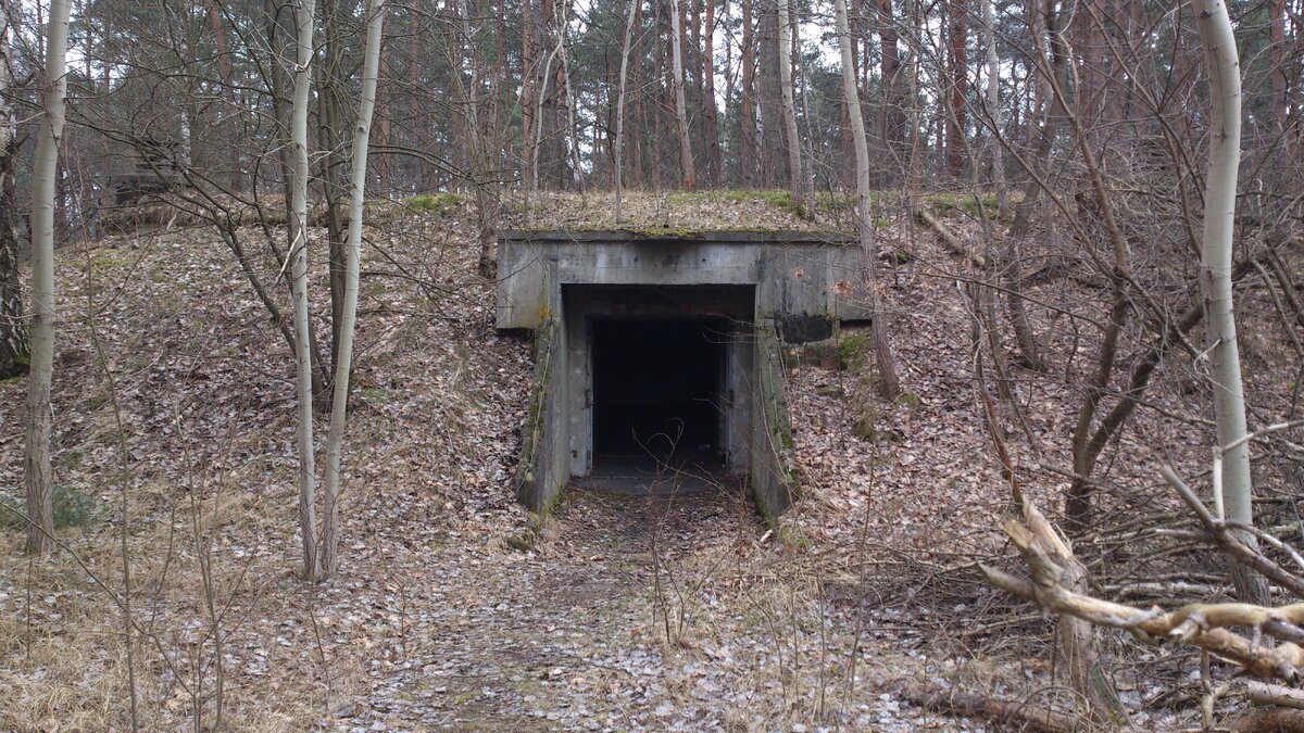 Бункер в Битцевском лесу