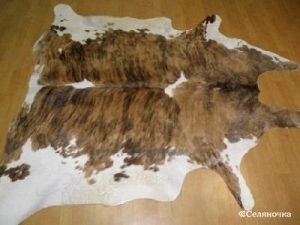 Выделка шкур КРС представляет собой сложный процесс. Из выделанных шкур крупного рогатого скота получают высококачественные кожи, из которых шьются: одежда, обувь, сумки, ремни, обивка для мебели. Изделия получаются прочными и долговечными.