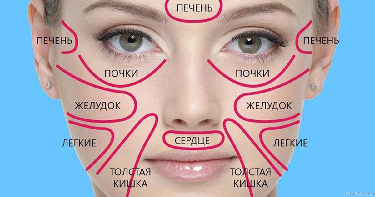 Цвет кожи диагноз. Карта лица. Прыщи и заболевания внутренних органов.