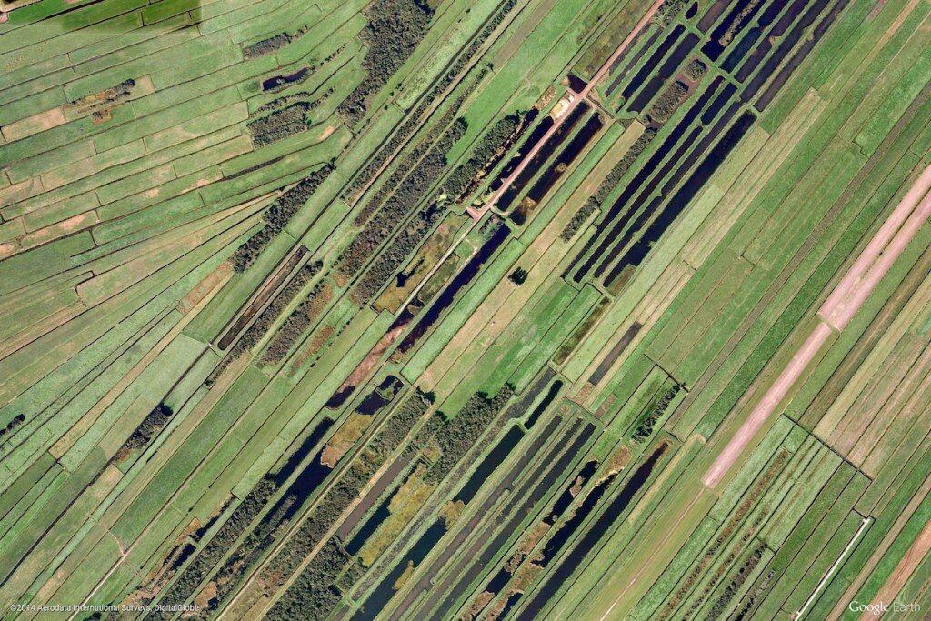 Поля в Голландии – Фотографии Земли