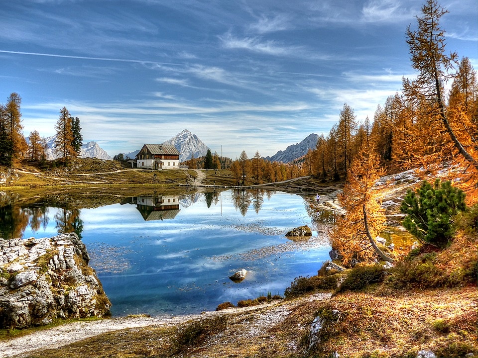 фото с сайта https://pixabay.com/ 