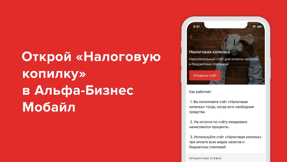 Почему стоит открыть зарплатный проект в Альфа-Банке | Альфа-Банк | Дзен