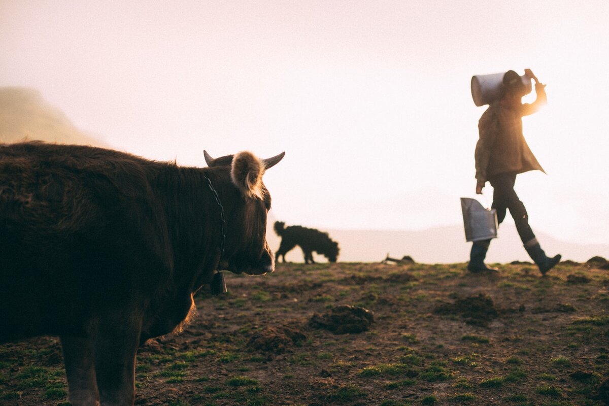 Источник: unsplash.com