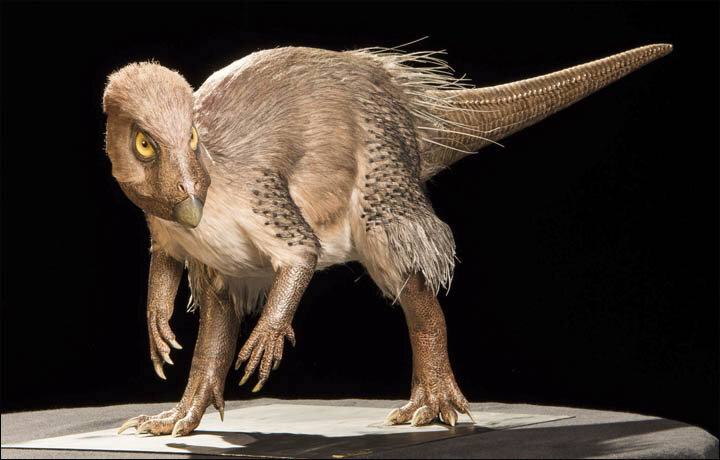 Kulindadromeus zabaikalicus