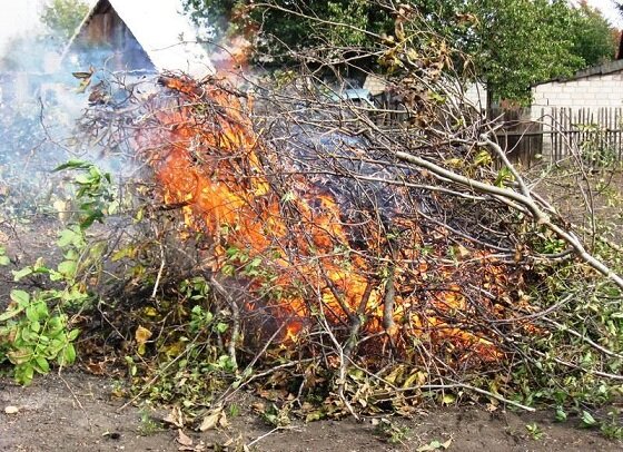 Огонь – плохой способ утилизировать древесные остатки. Велик риск устроить пожар или заработать штраф