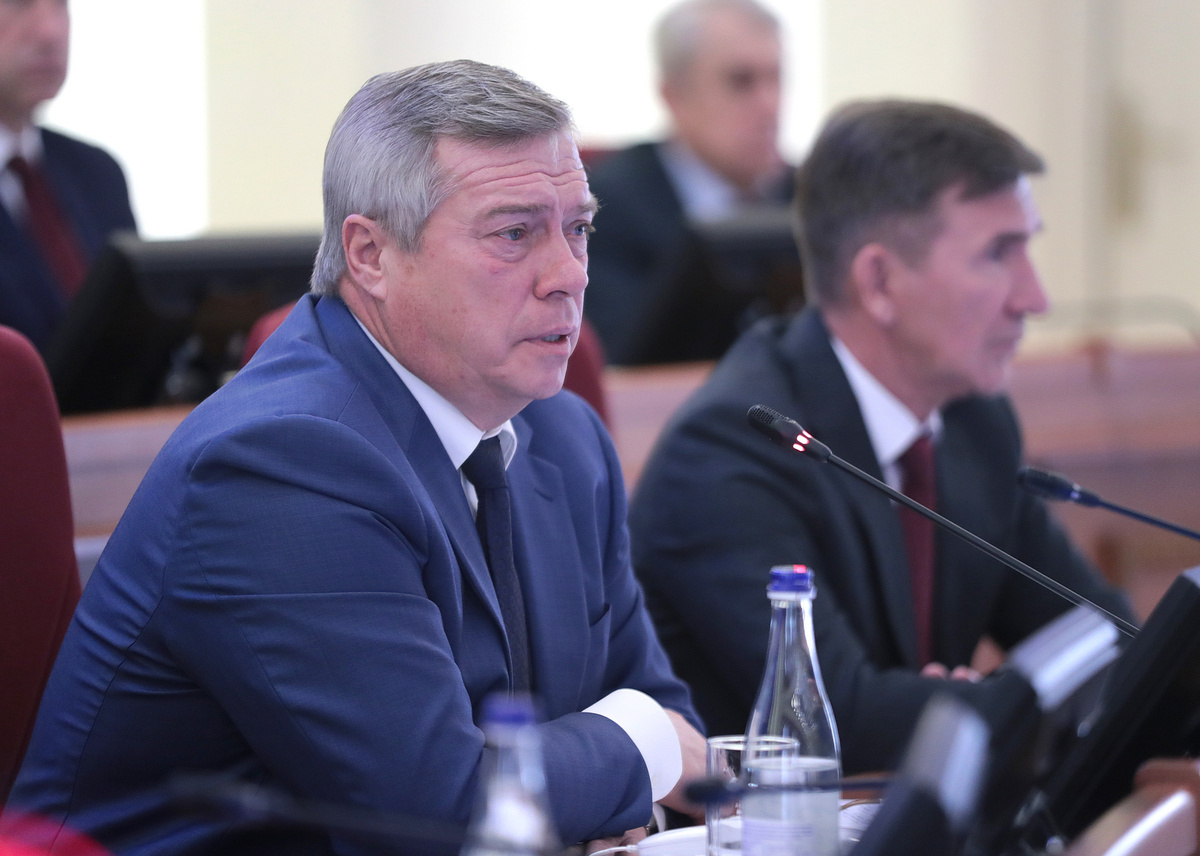 Фото: пресс-служба Губернатора Ростовской области
