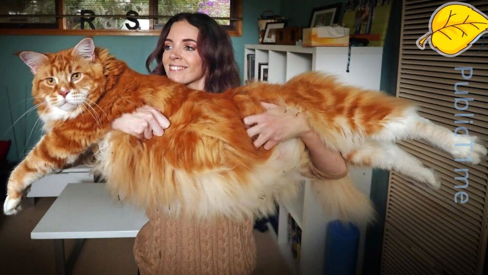 заходи к нам на канал, подписывайся, ставь лайки и мы будем выпускать самые актуальные новости https://zen.yandex.ru/profile/editor/id/5befde77397b4000aa7addf6