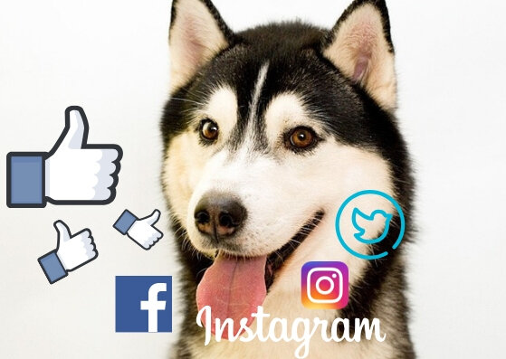 Нынешний человек все более походит на марионетку, где каждая ниточка - это виды средств для коммуникации.  