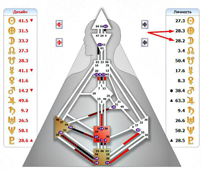 Расчет карта дизайн человека биверсум