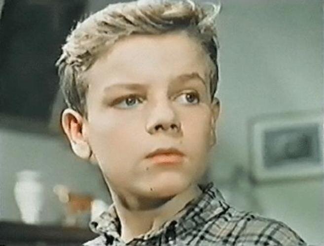 "Дым в лесу"