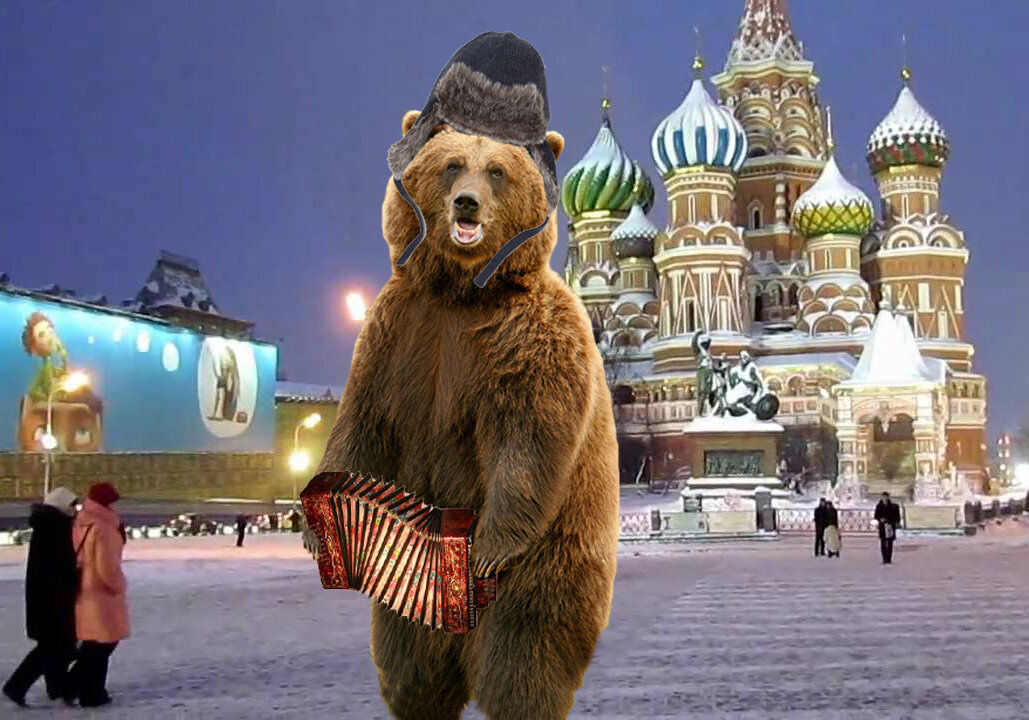 Медведь в москве