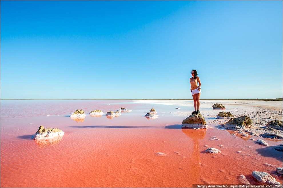 Кояшское озеро евпатория. Кояшское озеро в поповке. Розовое море в крыму где находится. Кояшское розовое озеро в крыму. Кояшское озеро керчь.