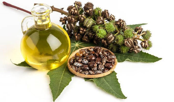 мирарома масло косметическое касторовое 50мл. касторовое масло castor oil. масла клещевины (касторового масла). клещевина касторка. касторовое масло castor oil.