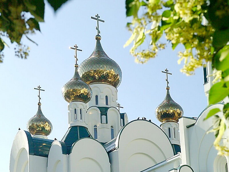Фото из открытых источников