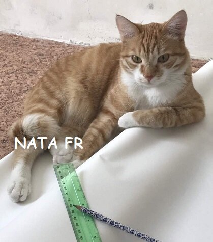 Кот-прораб на нашей стройке. Чётко следил за поклейкой обоев. У такого начальства не забалуешь. Личное фото