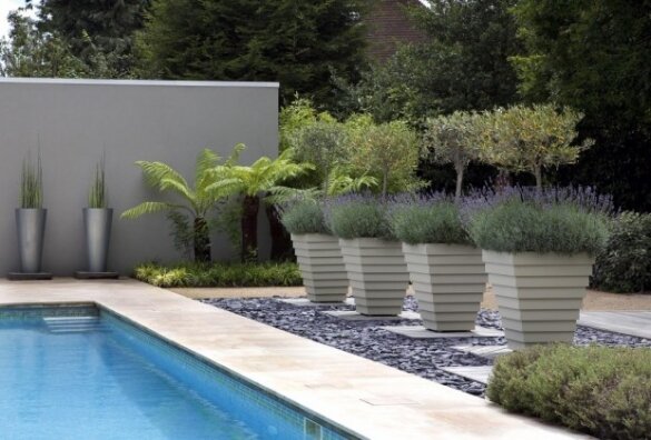 Правильное время и способ размещения кустарников возле прибрежной зоны бассейна