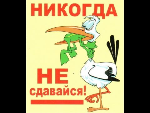 Гагарина никогда не сдавайся минус. Никогда не сдавайся лягушка и цапля. Никогда не сдавайся!. Никогда не сдавайся картинки. Плакат никогда не сдавайся.